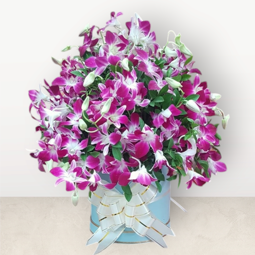 [FLBQ HTBX ORPR] Orchid paradise