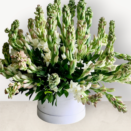 [FLBQ HTBX TUTR] Tuberose Tranquility 