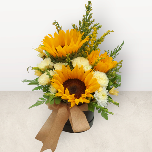 [FLBQ HTBX SUBL] Sunshine Bloom